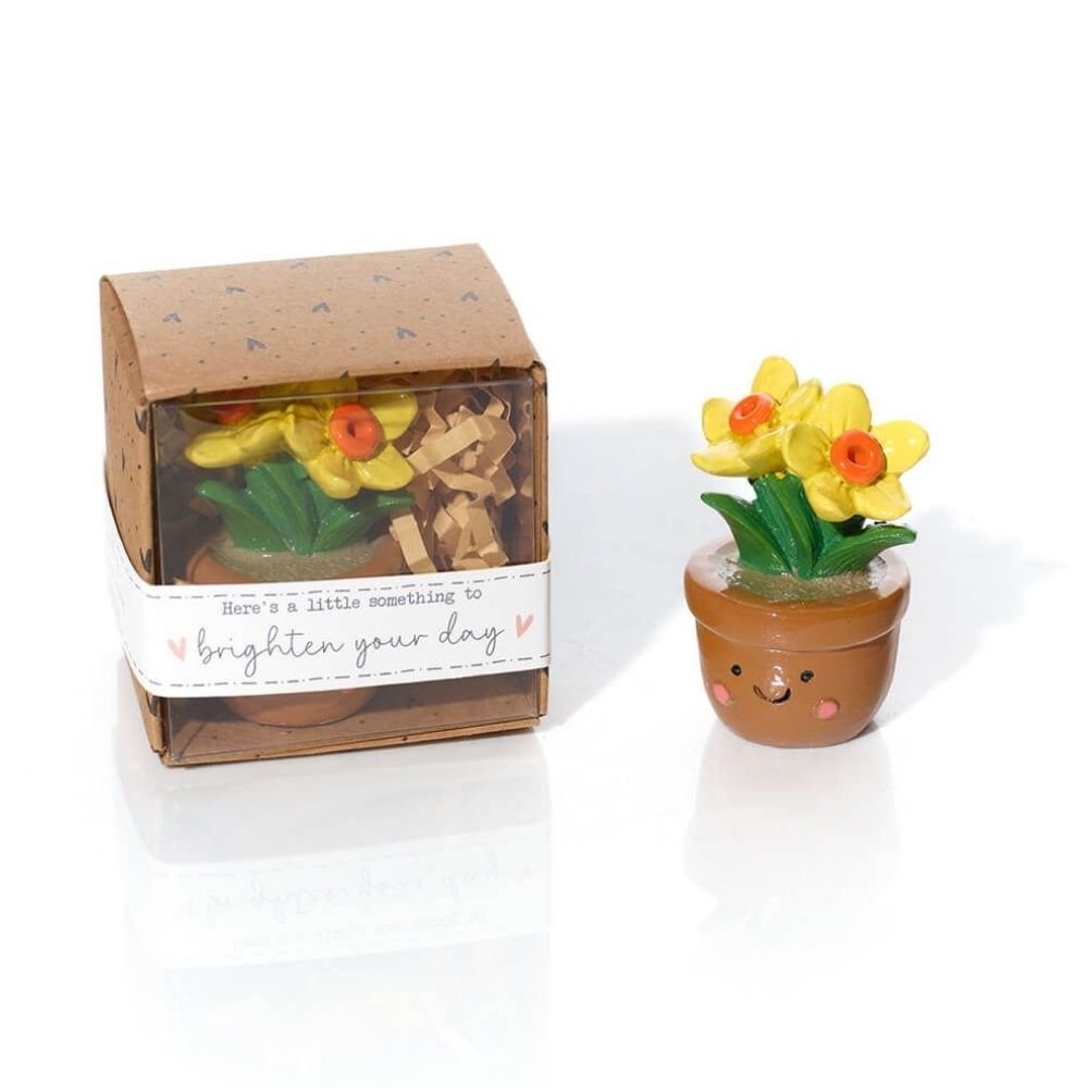 Richard Langs Tiny World Daffodil Plant Pot Keepsake - Old Railway Line Garden Centre