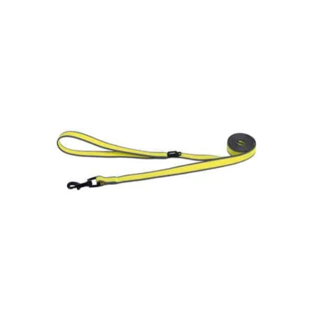 ROGZ Amphibian Large Dayglo Classic Lead