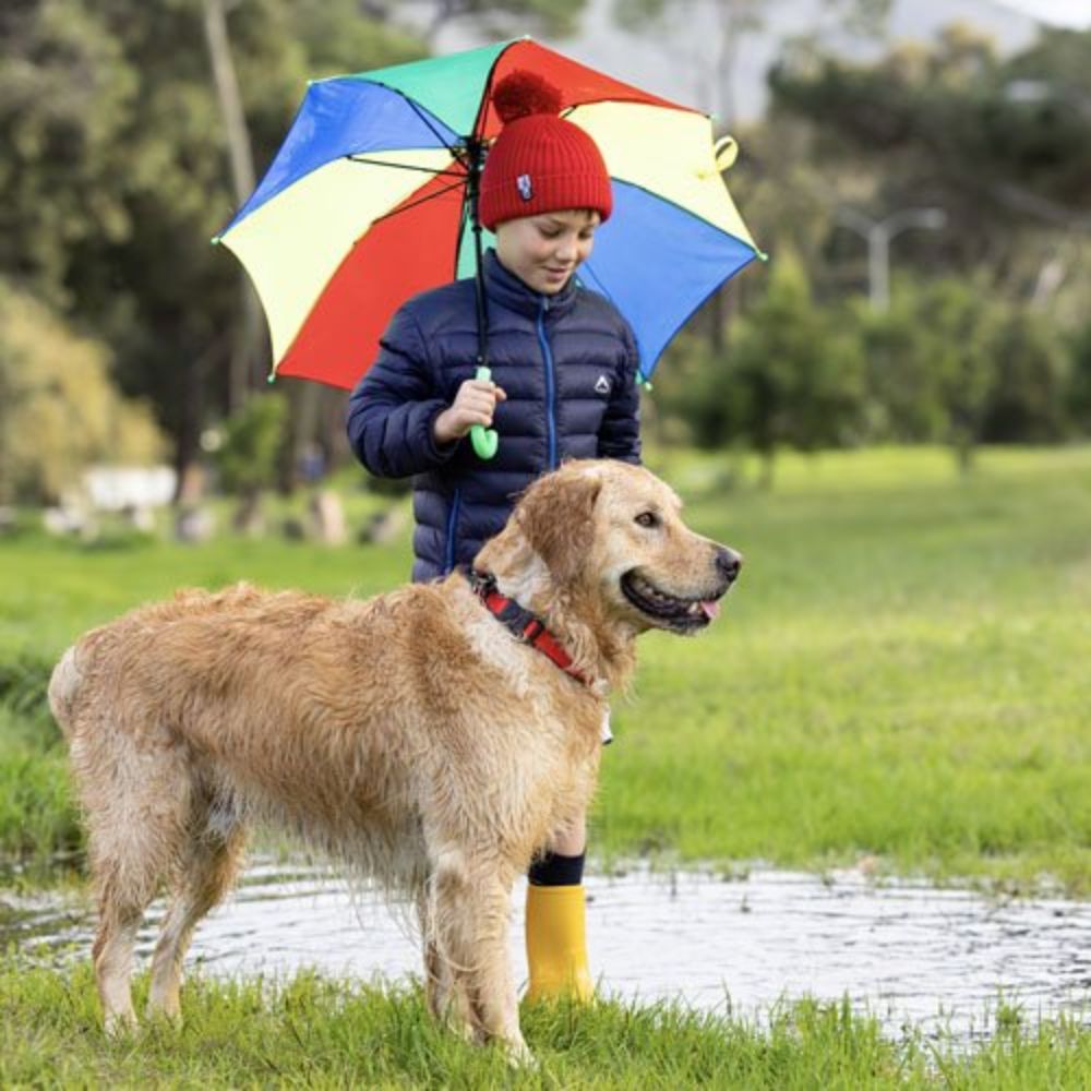 ROGZ Large Red Classic Amphibian Dog Collar