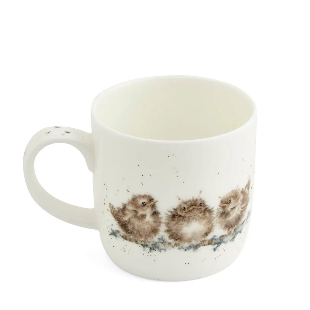 Royal Worcester Wrendale Designs 'Feather Your Nest' Mug - Old Railway Line Garden Centre