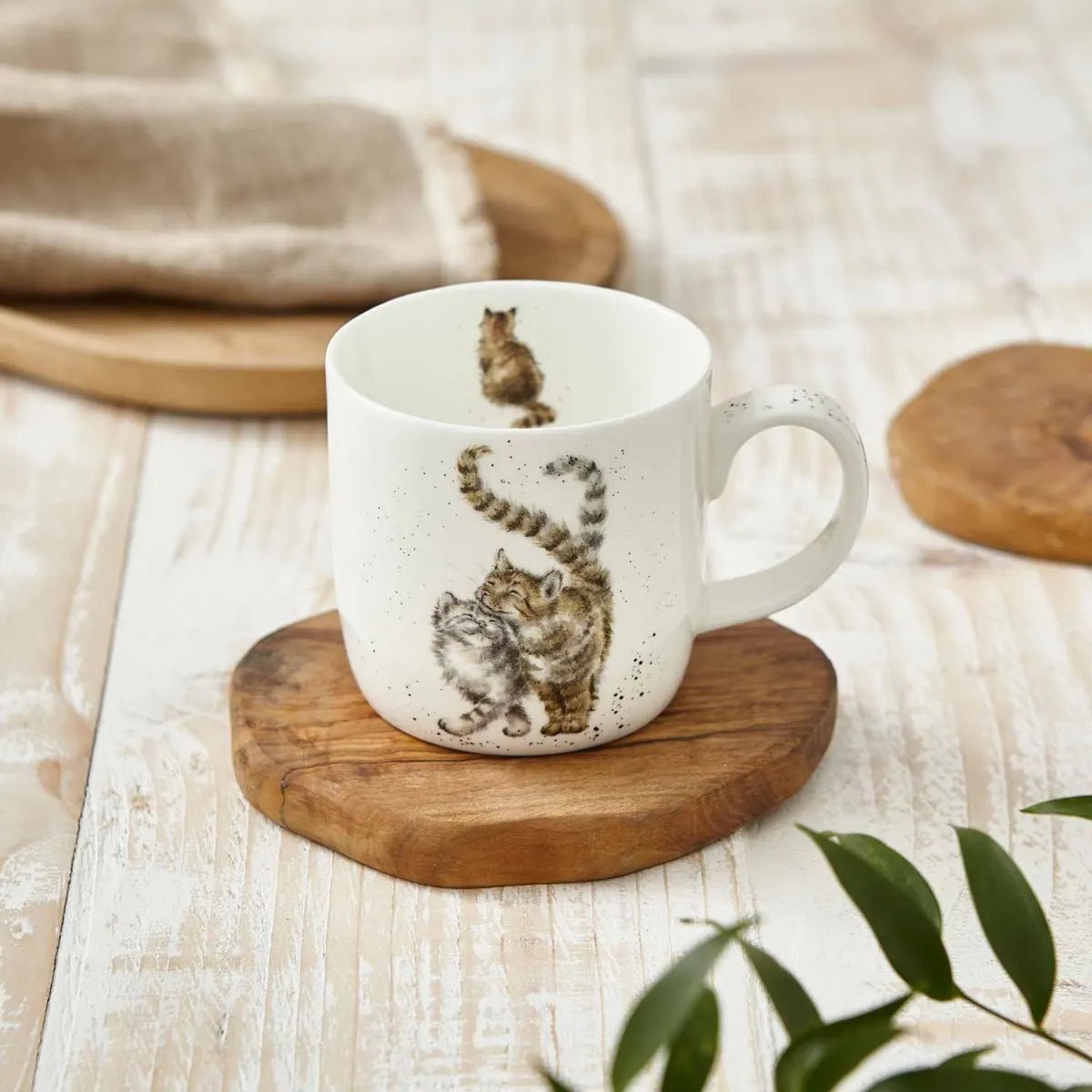 Royal Worcester Wrendale Feline Good Cat Fine Bone China Mug - Old Railway Line Garden Centre