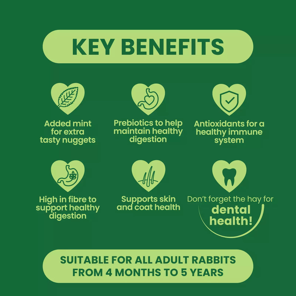 Burgess Excel 1.5kg Adult Rabbit Nuggets with Mint