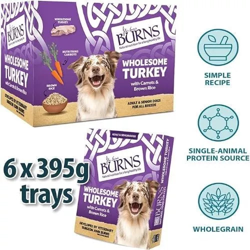 Burns Adult Dogs 395g Wholesome Turkey Wet Food 6pk