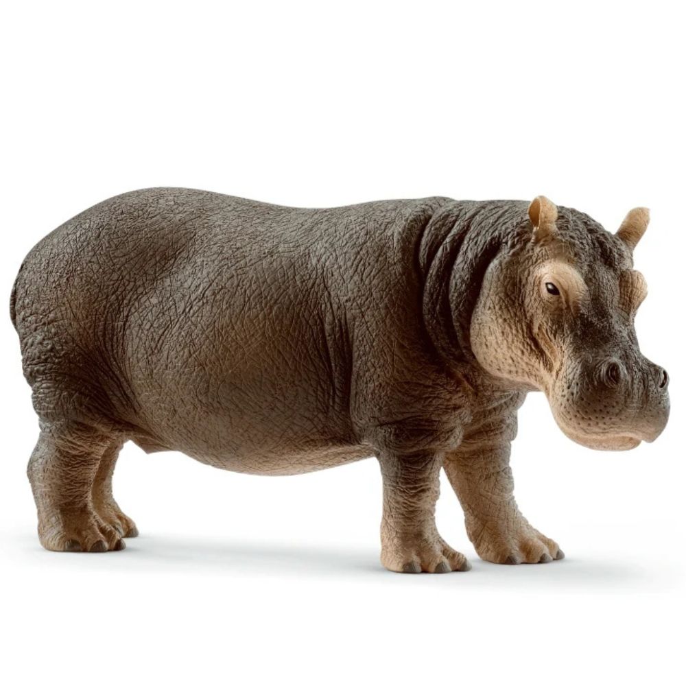 Schleich 12cm Hippopotamus Figurine