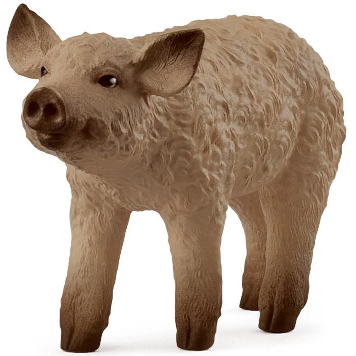 Schleich Mangalica Piglet - Old Railway Line Garden Centre