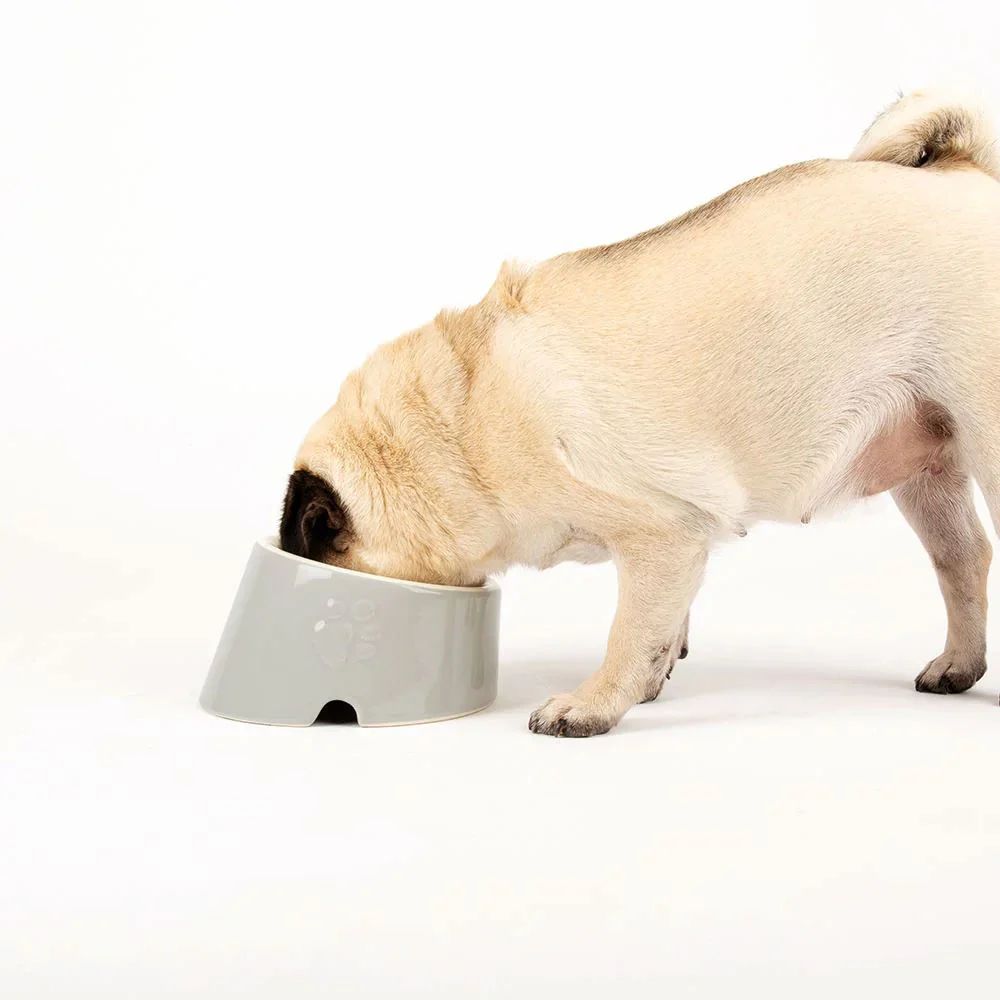 Scruffs 18cm Classic Grey Slanted Feeding Bowl