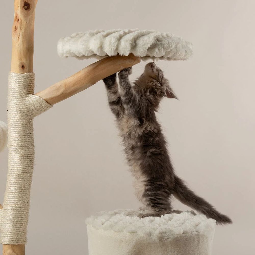 Scruffs Alpine Pyrenees Cat Tree - Cream - Old Railway Line Garden Centre