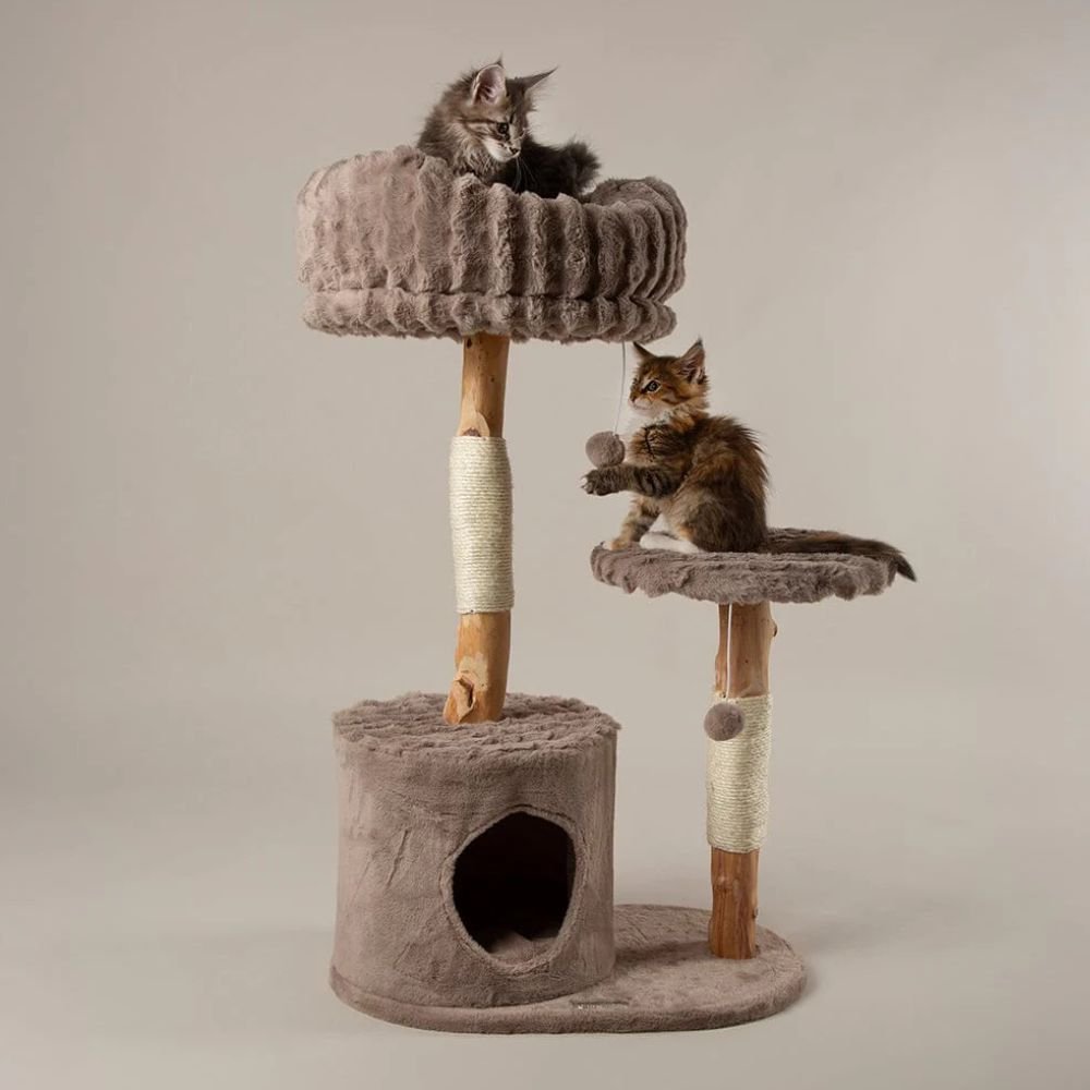 Scruffs Colorado Cat Scratching Tree - Taupe - Old Railway Line Garden Centre