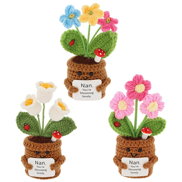 Shudehill 15cm Crochet Blooms Smiley Pot for Nan