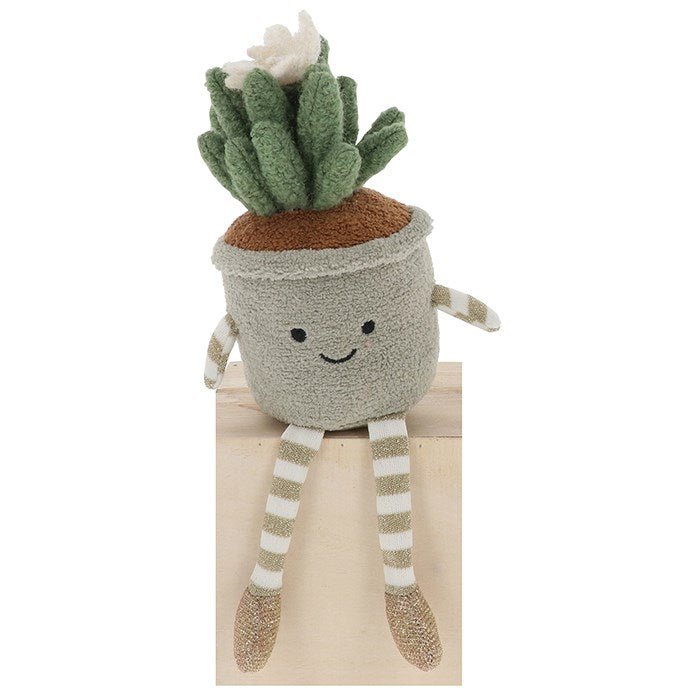 Shudehill 15cm Succulents Pot Plant Pals (Choice of 3) - Old Railway Line Garden Centre