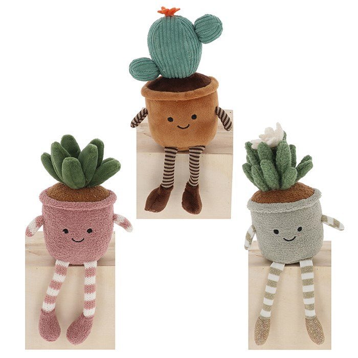 Shudehill 15cm Succulents Pot Plant Pals (Choice of 3) - Old Railway Line Garden Centre