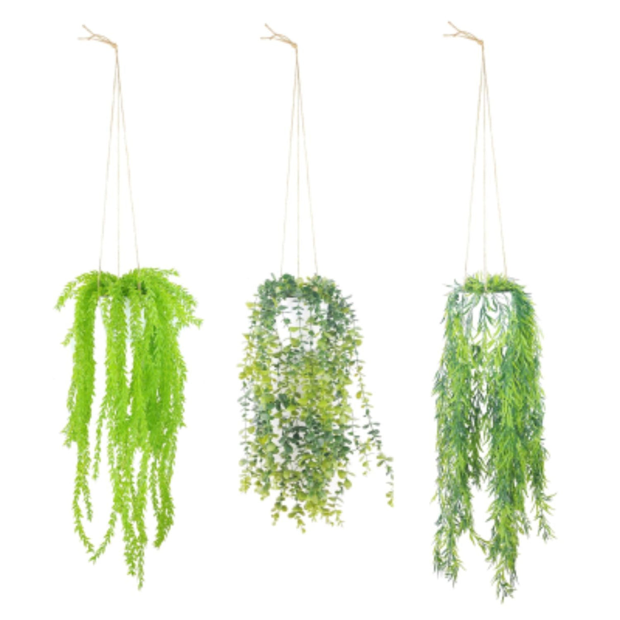 Sincere Floral 118cm Assorted Foliage Hanging Plants in Pots - Old Railway Line Garden Centre