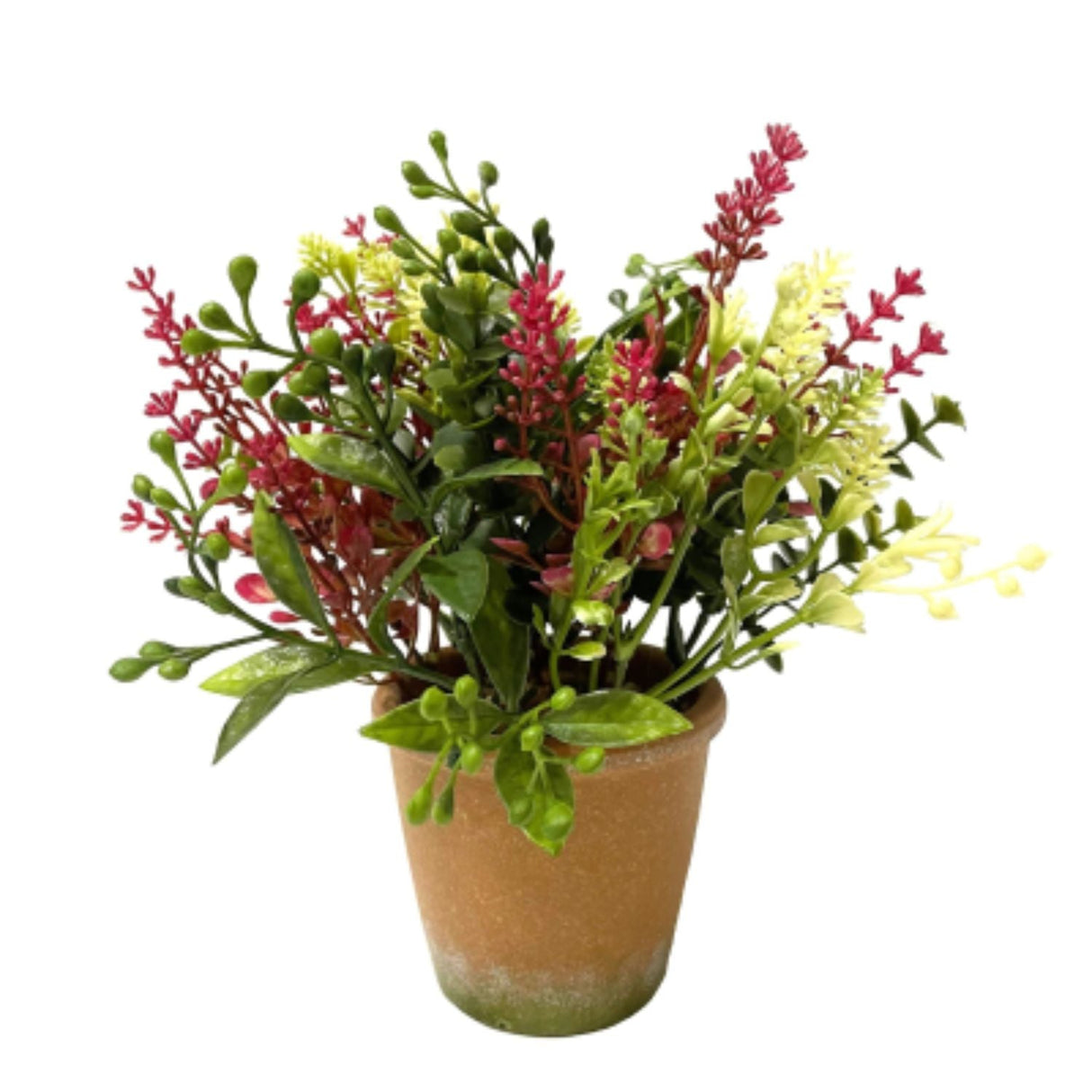Sincere Floral 22cm Cerise Mixed Foliage in Pot - Old Railway Line Garden Centre
