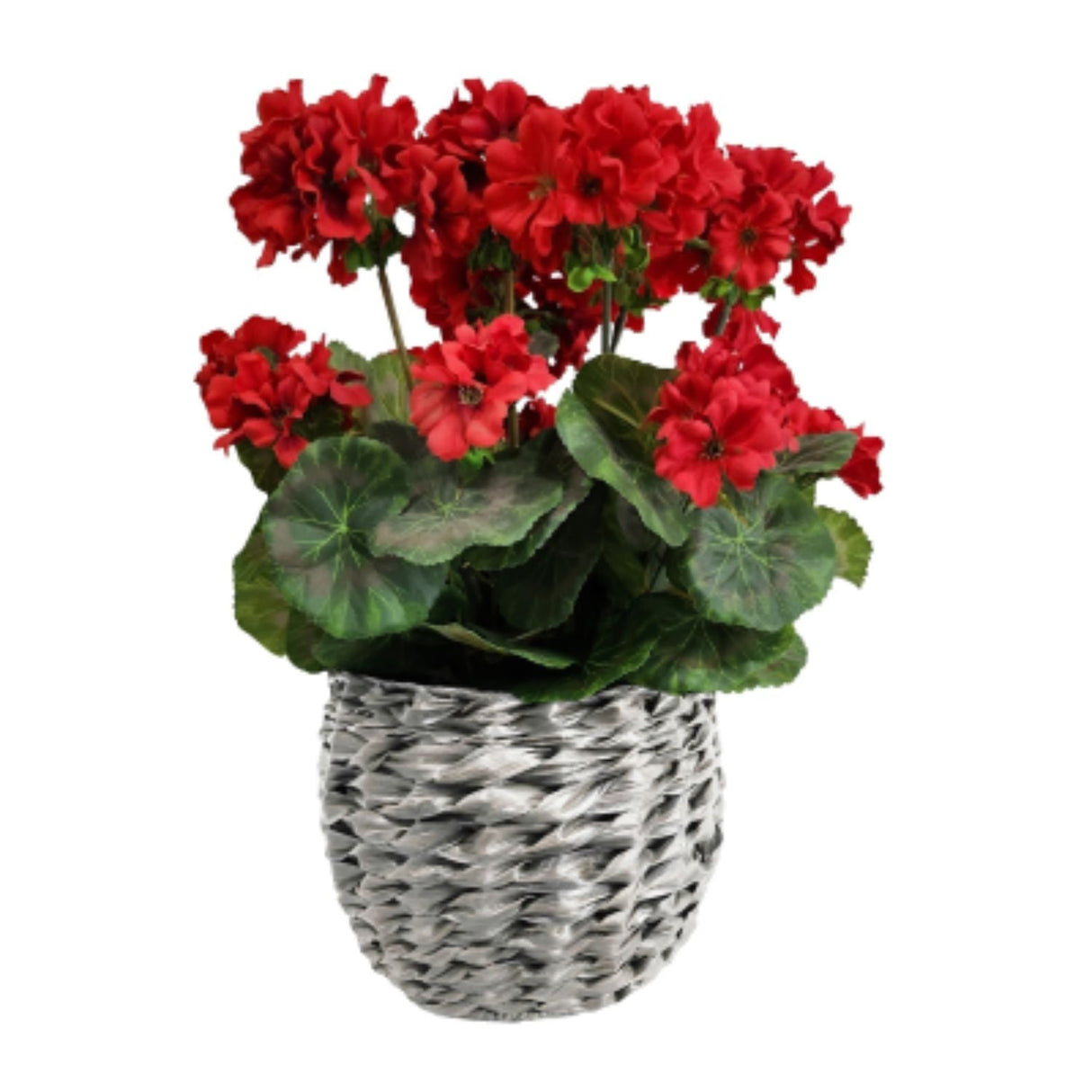 Sincere Floral 43cm Red Geranium in Grey Basket - Old Railway Line Garden Centre