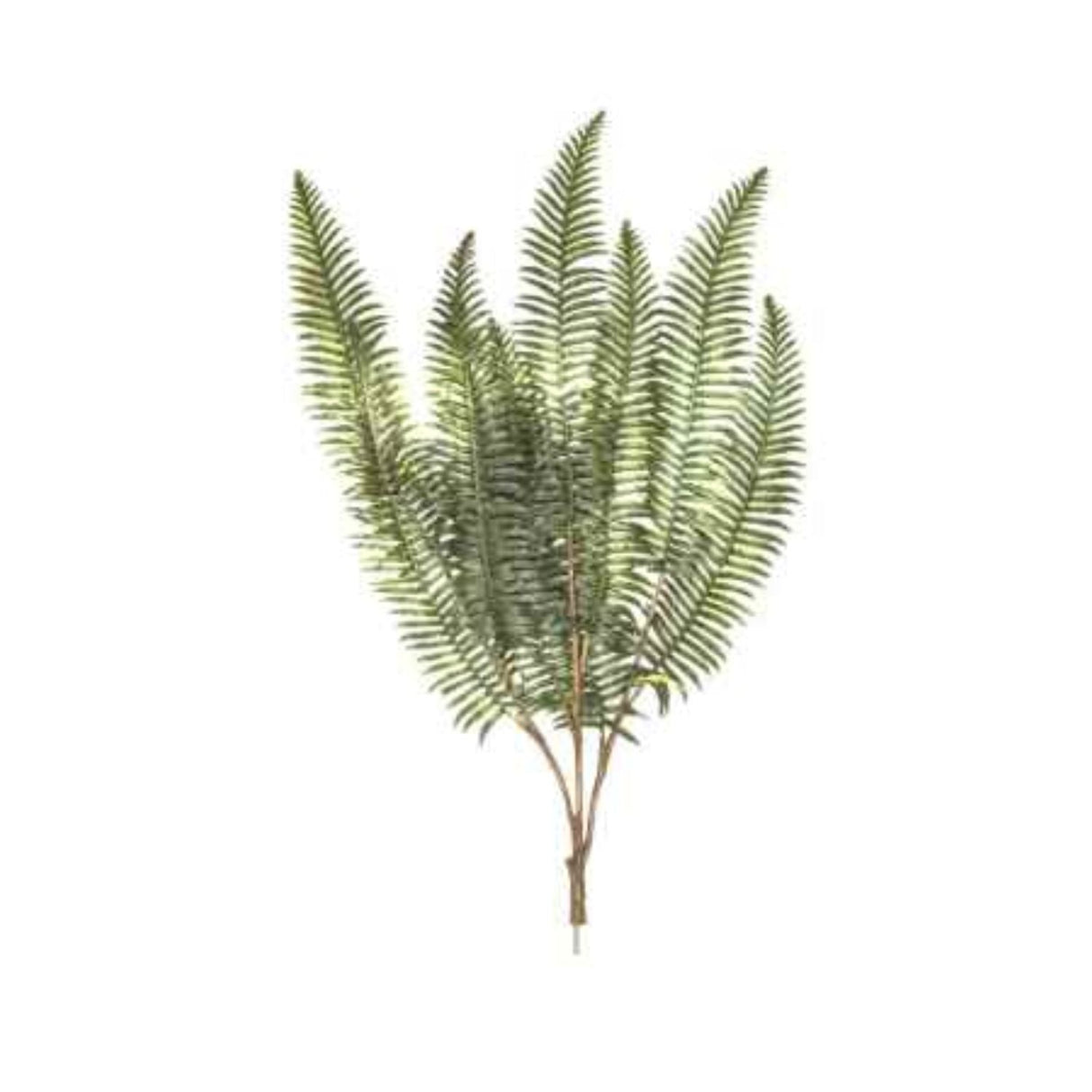 Sincere Floral 80cm Fern Leaf Branch - Old Railway Line Garden Centre