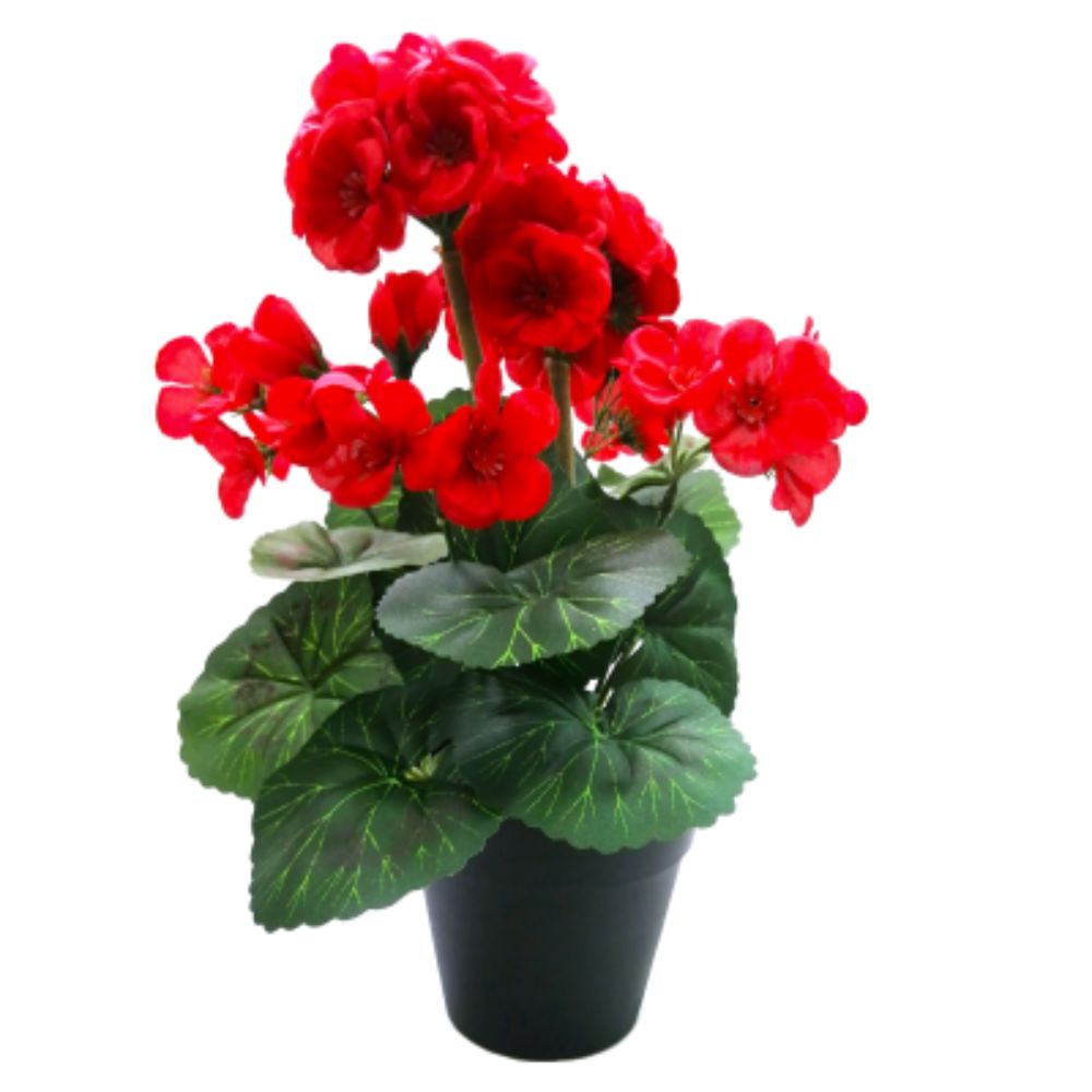 Sincere Floral 31cm Red Geranium in Pot