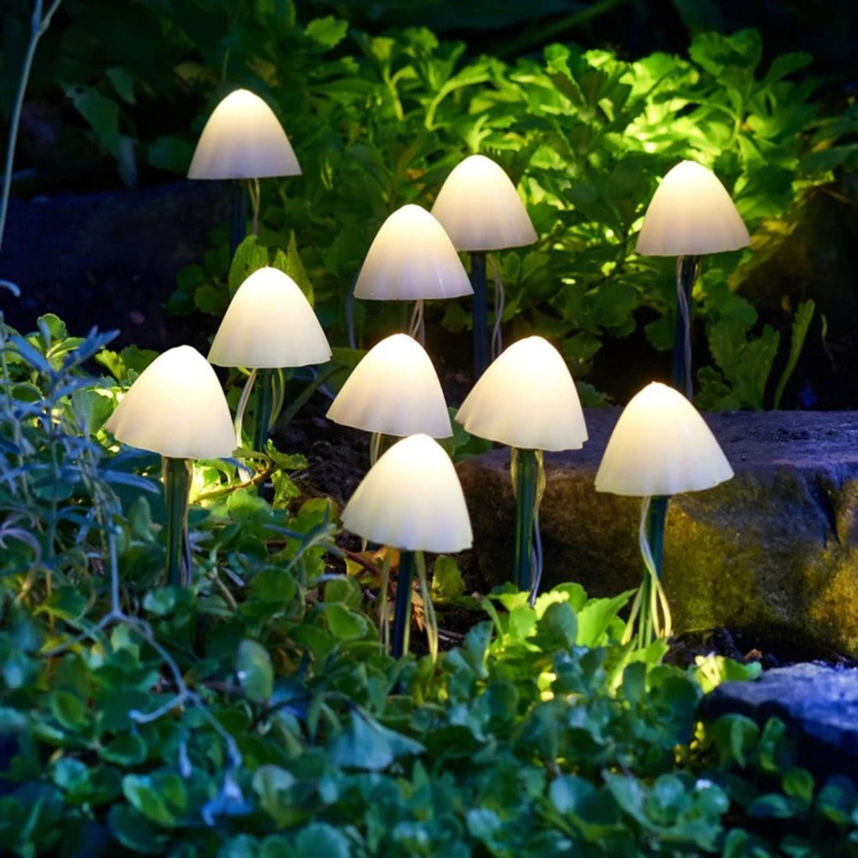 Smart Solar 3m Lumi Shrooms Garden Light - Set of 10 - Old Railway Line Garden Centre