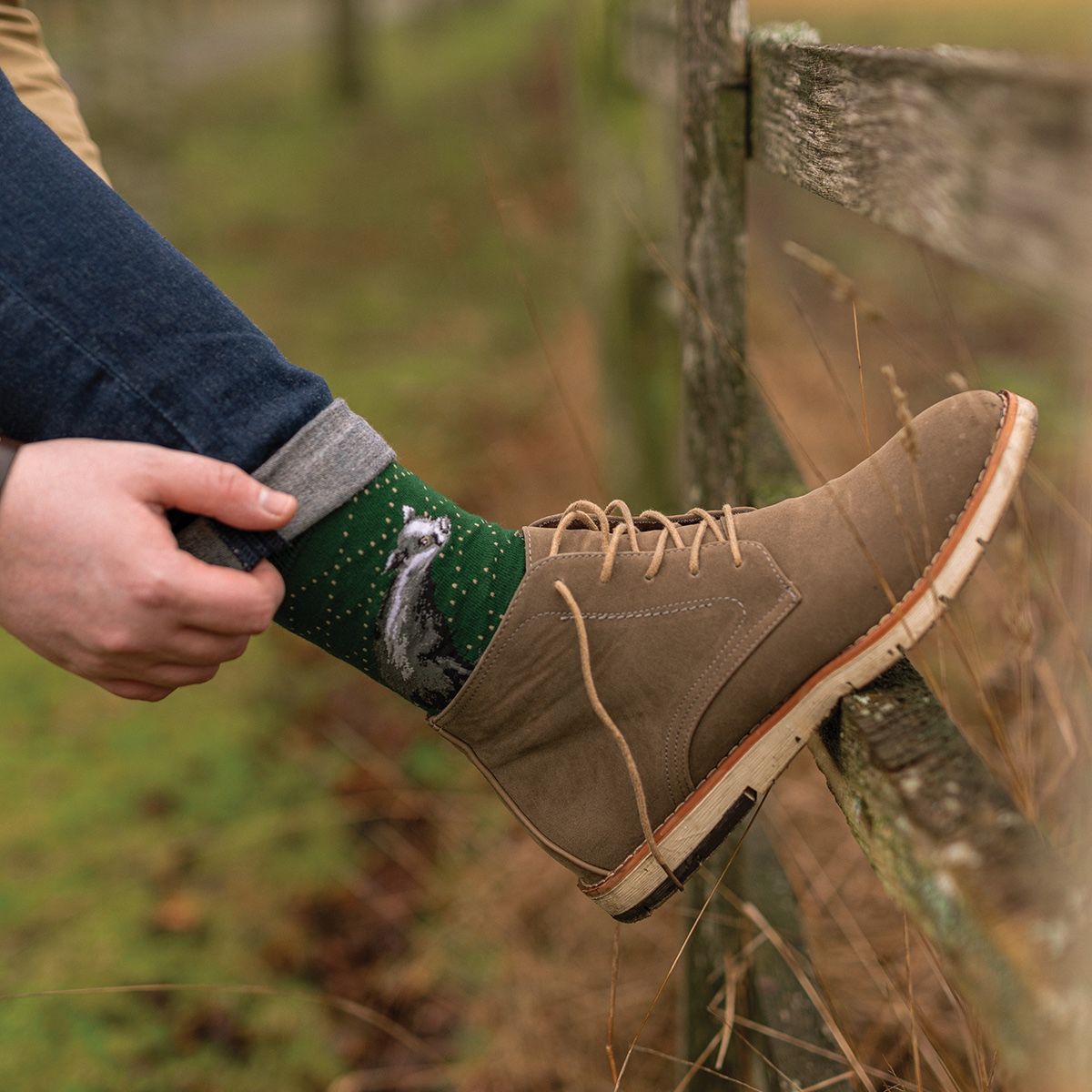 Wrendale 7-11 'The Country Gent' Badger Men's Socks