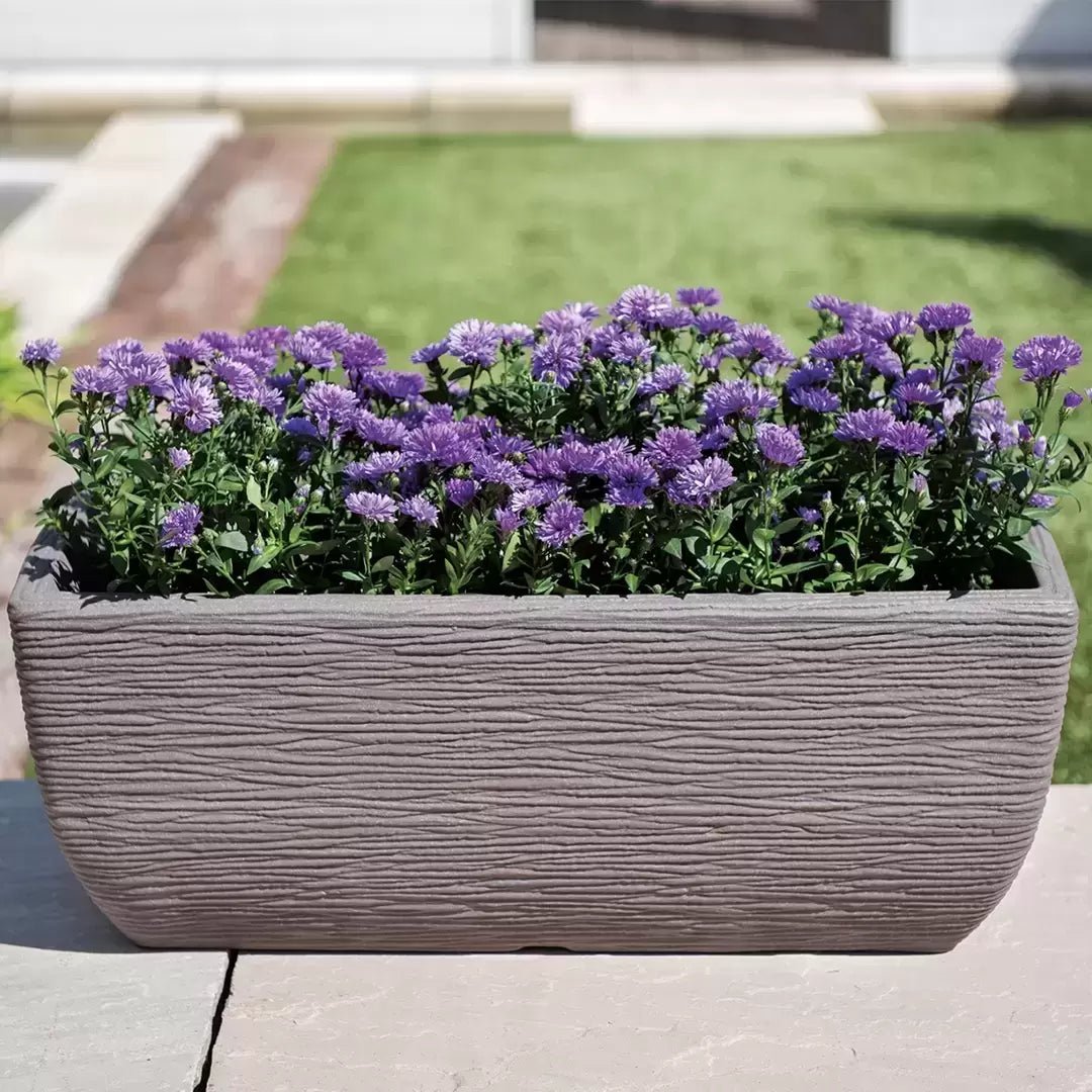 Stewarts 20L Cotswold Trough Millstone Planter - Grey - Old Railway Line Garden Centre
