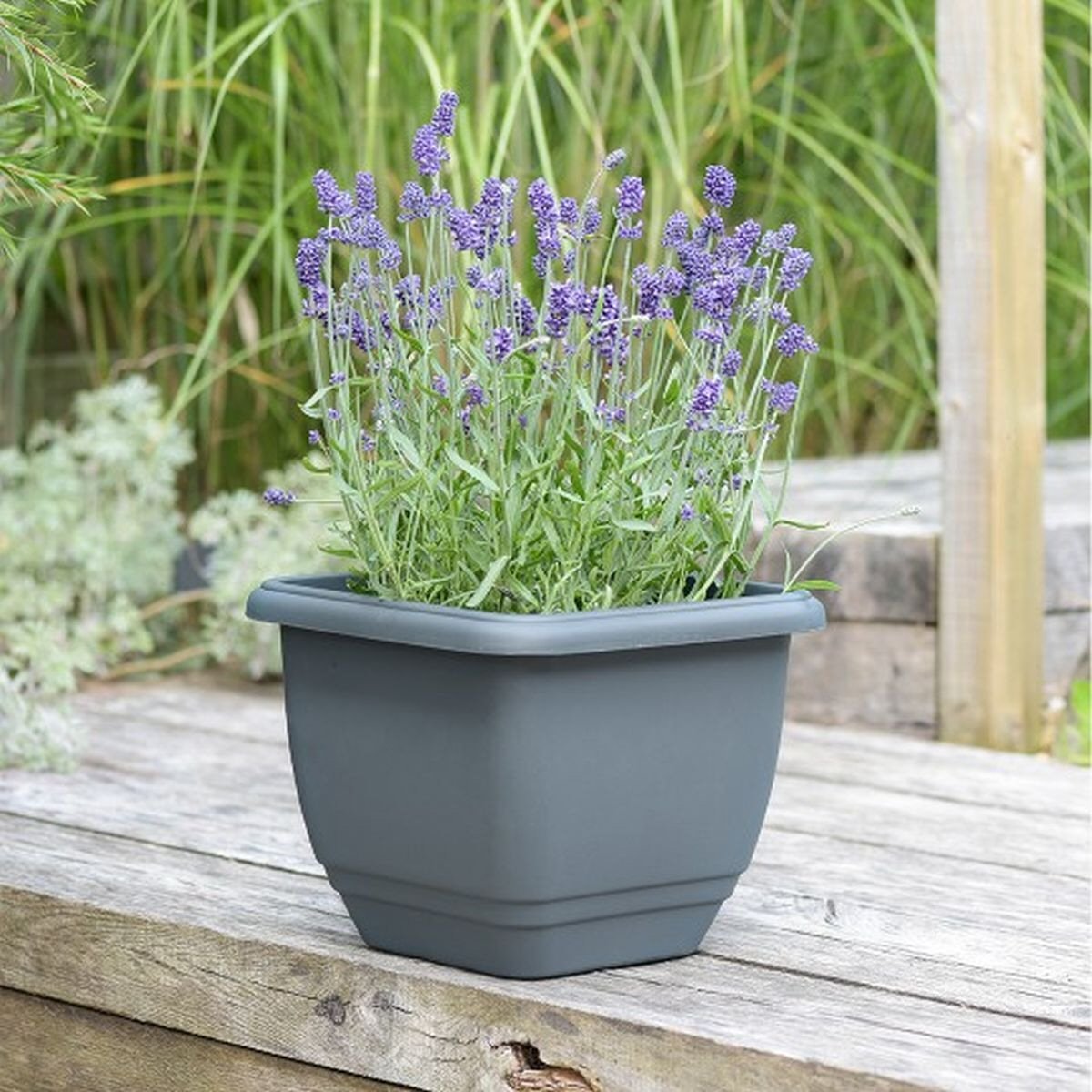Stewarts 30cm Slate Grey Square Patio Planter - Old Railway Line Garden Centre