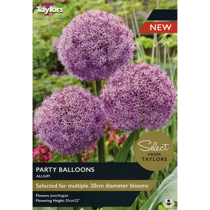 Taylors 1 Allium ‘Party Balloons’ Spring Flowering Bulbs
