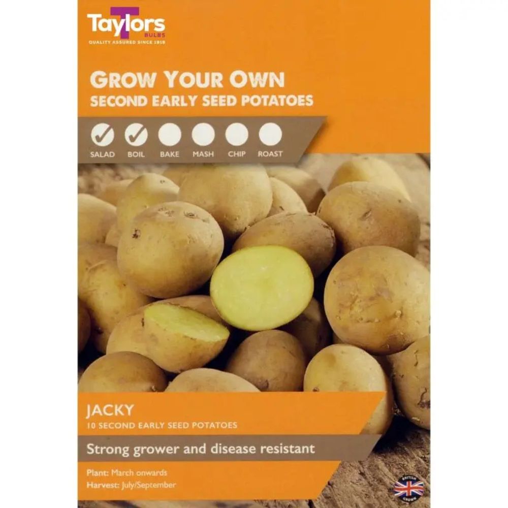 Taylors 10 Jacky Second Early Seed Potato - Old Railway Line Garden Centre