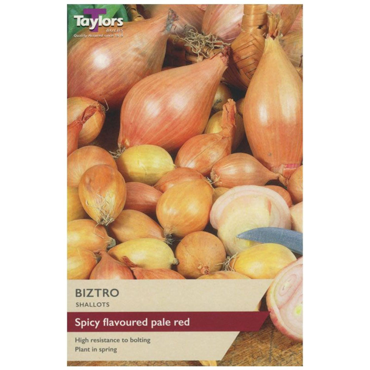 Taylors 12 Shallot Biztro Sets