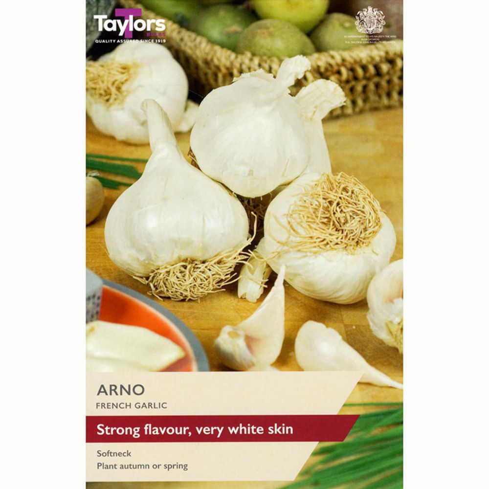 Taylors 2 French Garlic Arno Bulbs - Old Railway Line Garden Centre