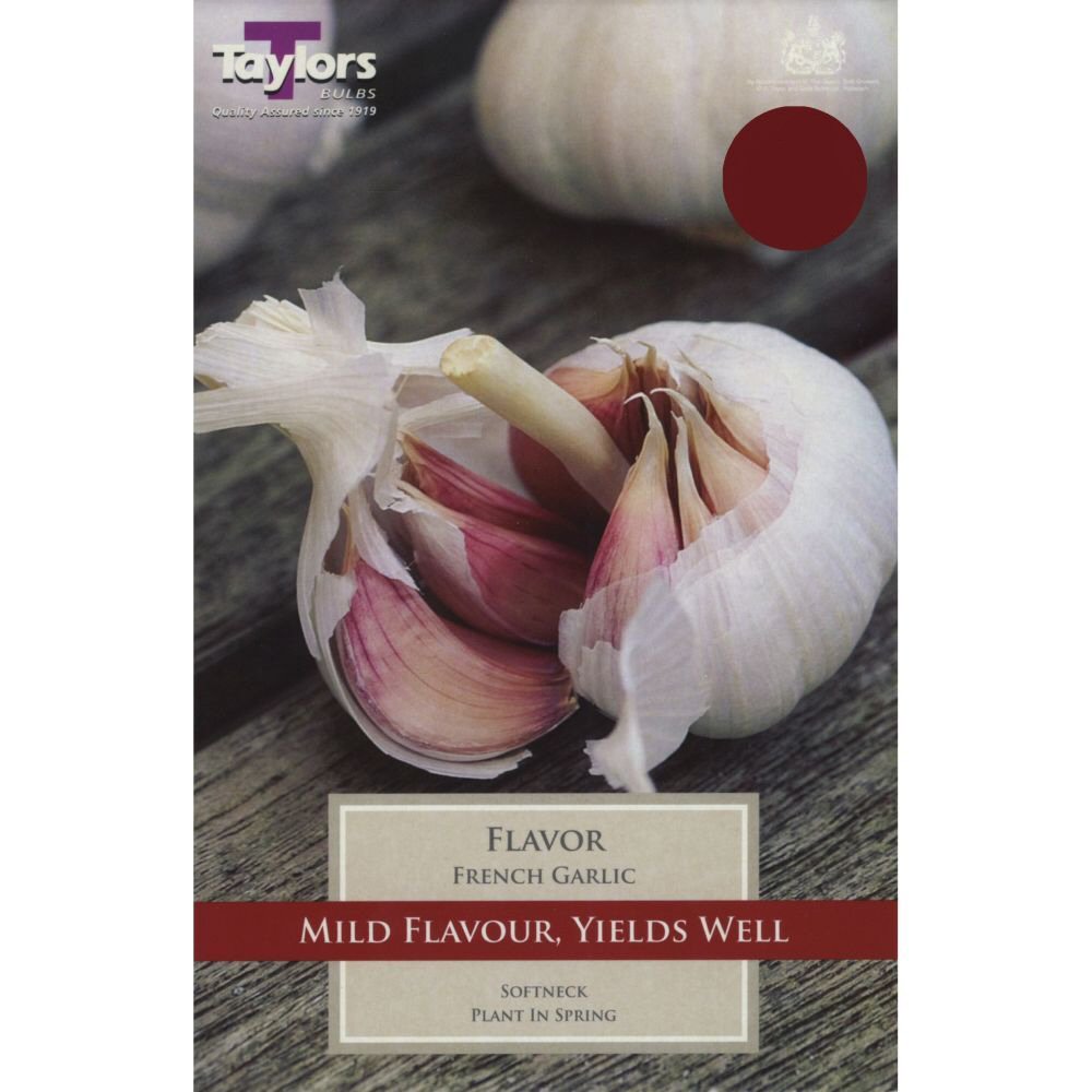 Taylors 2 French Garlic Flavor Sets