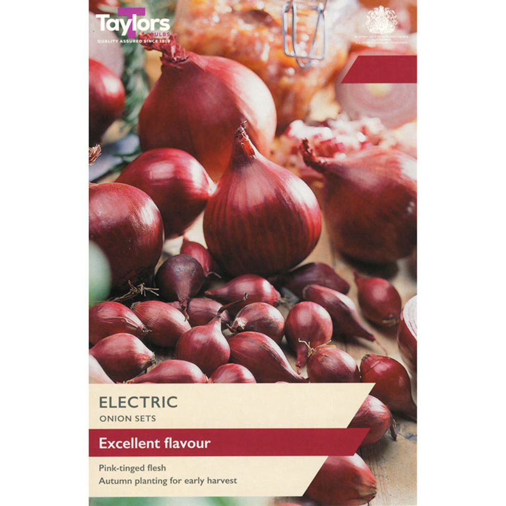 Taylors 50 Electric Onion Sets