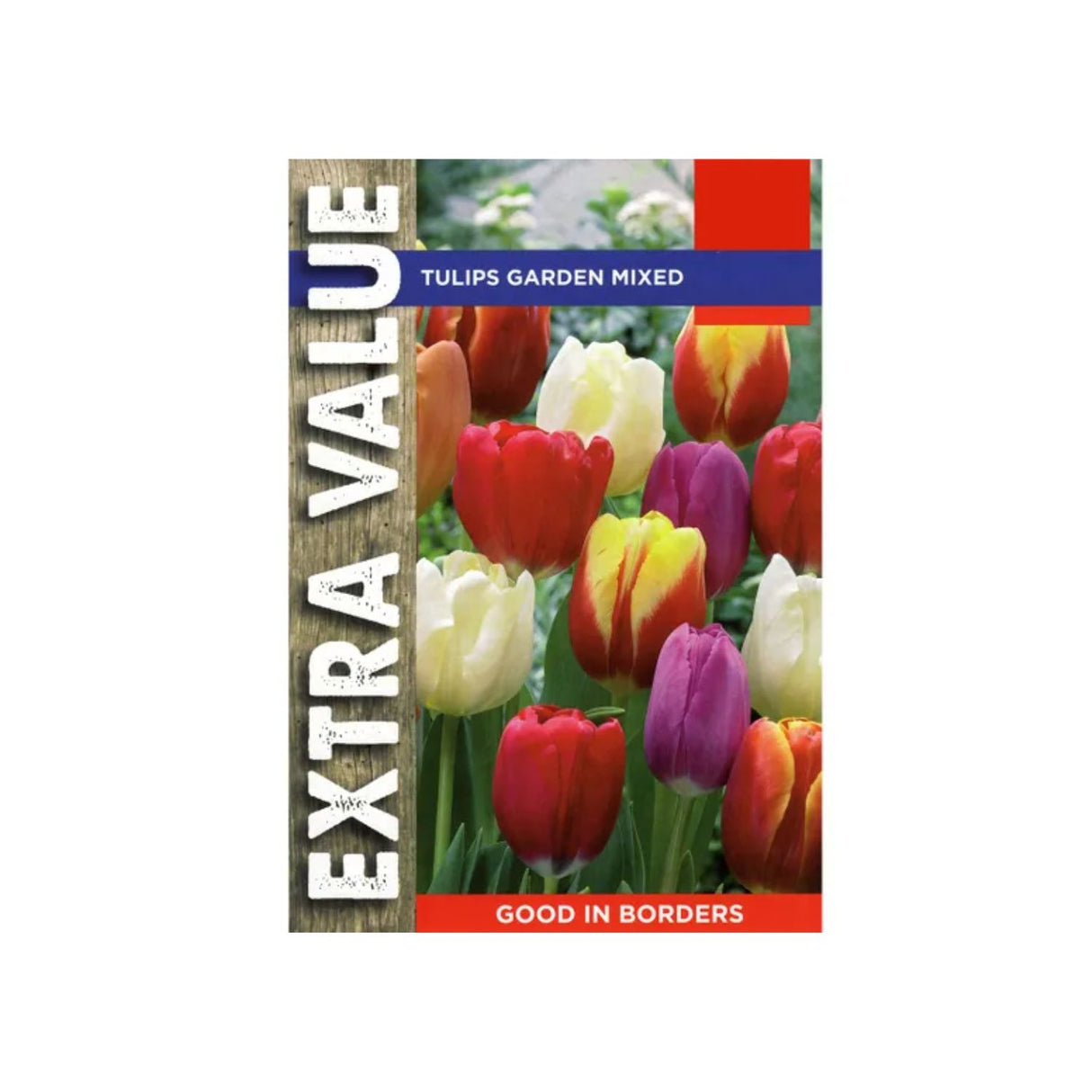 Taylors 50 Garden Mixed Tulip Bulbs