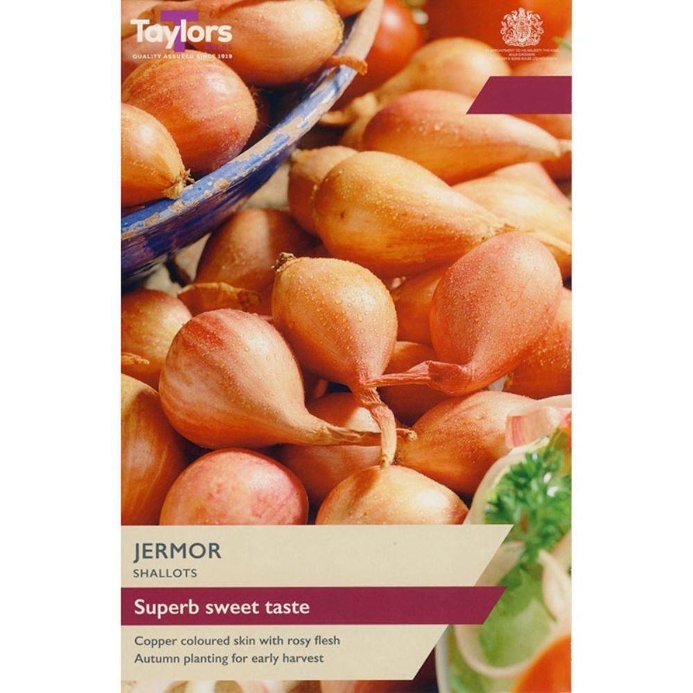 Taylors 8 Jermor Shallot Bulbs