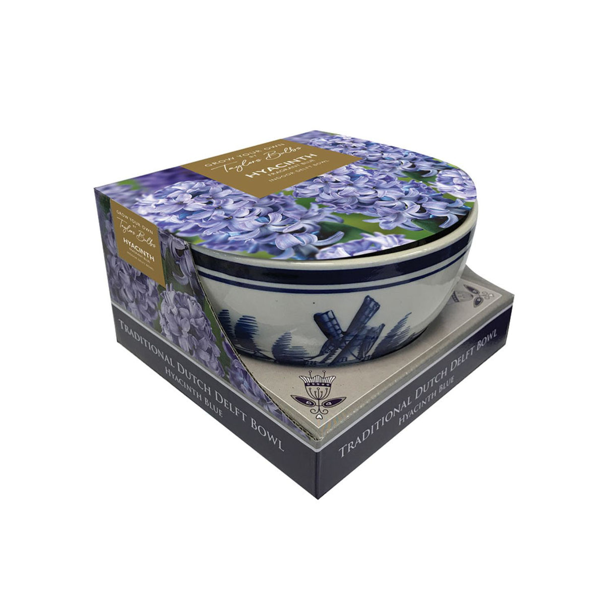 Taylors Blue Hyacinth Delft Bowl Indoor Bulb Gift Set