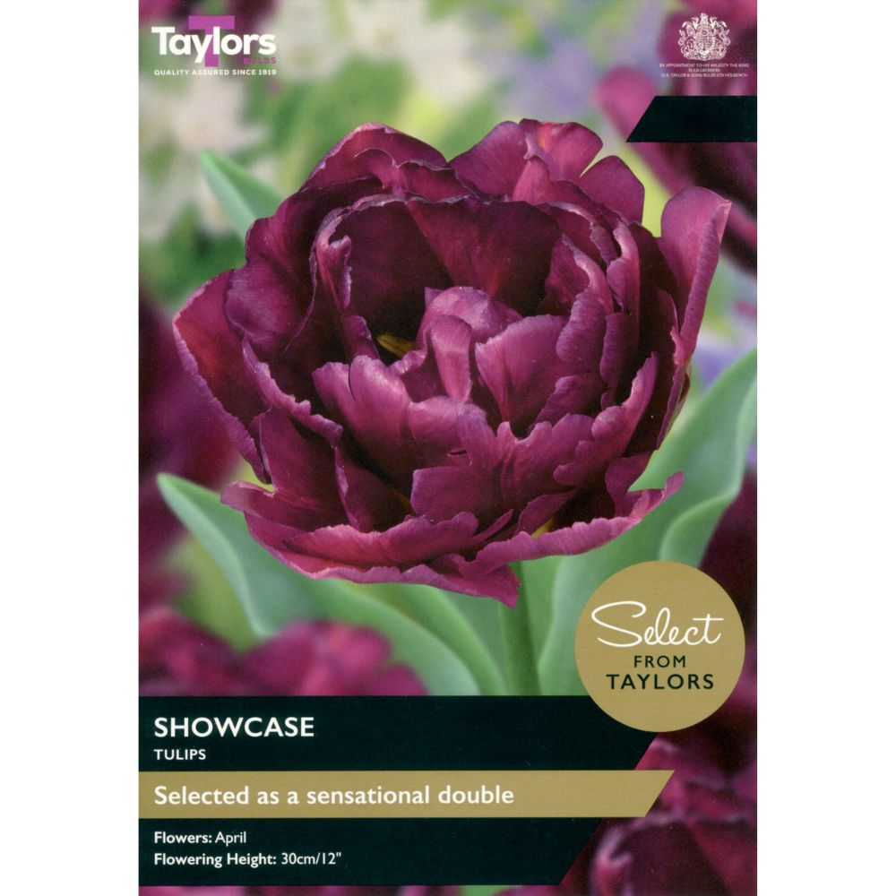 Taylors Select 7 Showcase Tulip Bulbs
