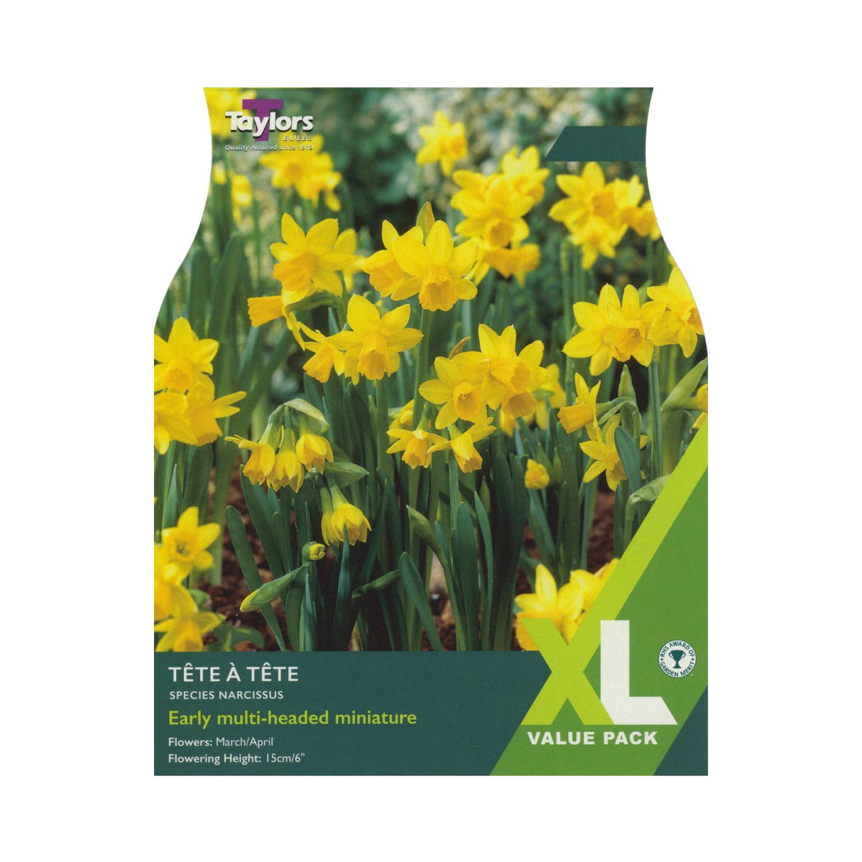 Taylors 70 Tete a Tete Narcissus Daffodil Spring Flowering Bulbs