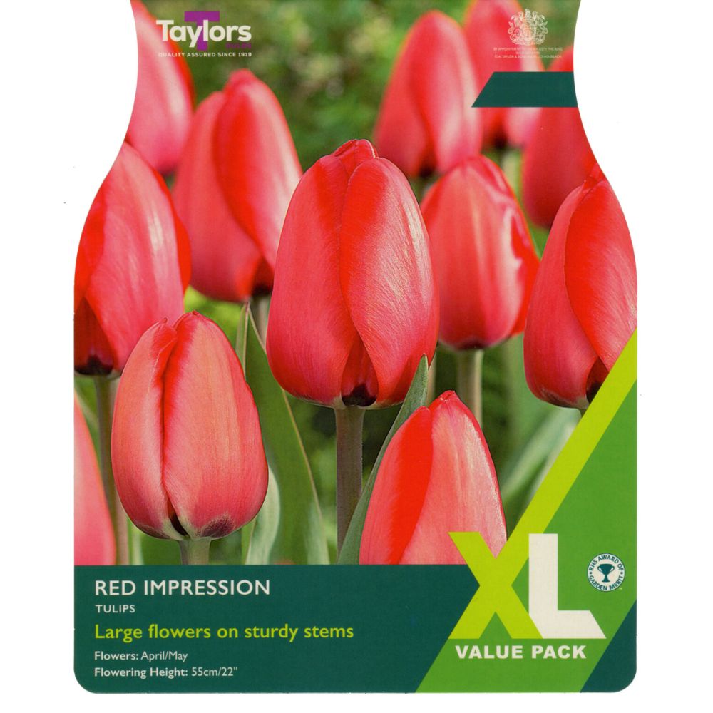 Taylors Tulips 'Red Impression' Bulbs - Old Railway Line Garden Centre