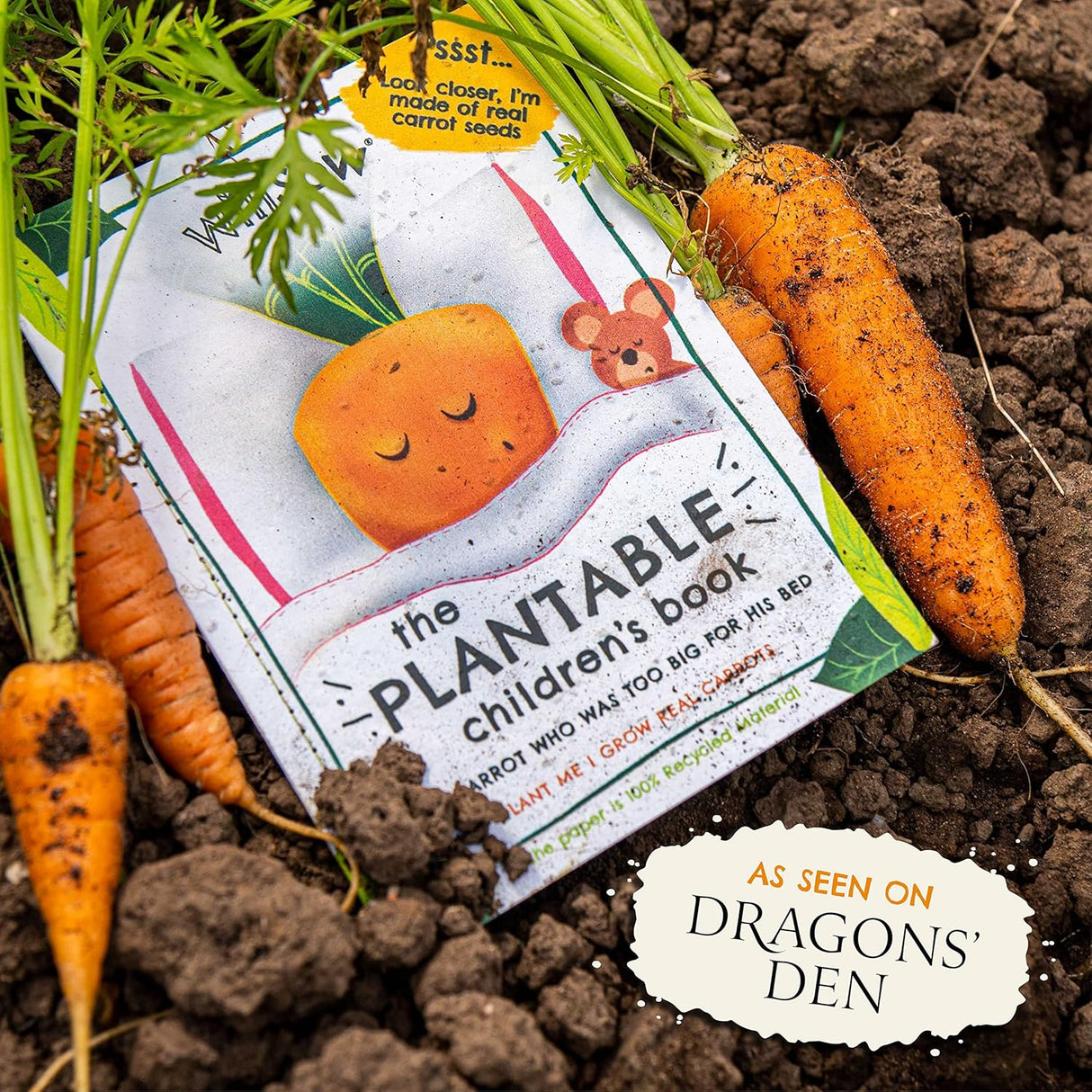 The Carrot Who Was Too Big For His Bed Plantable Childrens Book by Thomas Willday