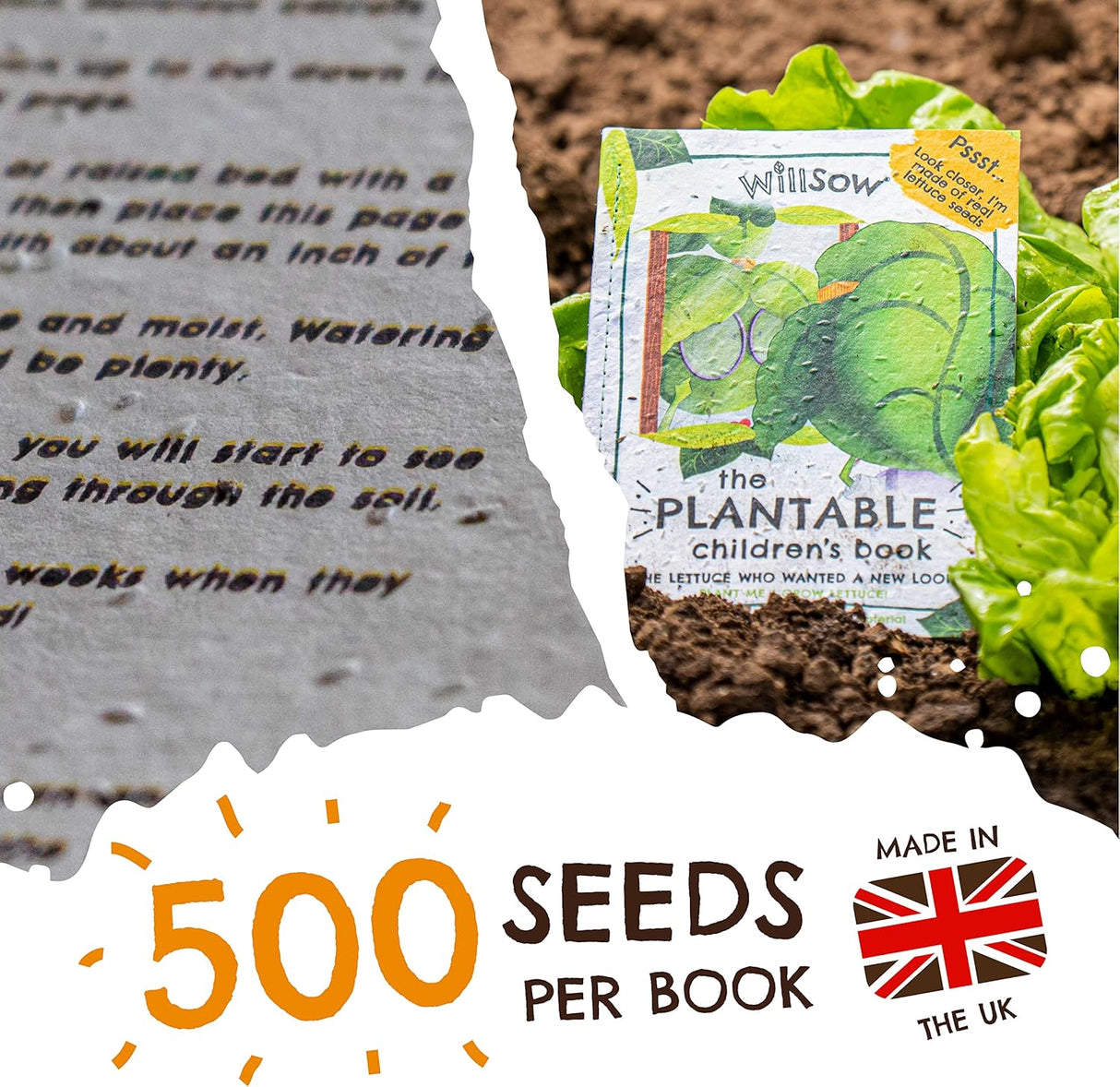 The Lettuce Who Wanted a New Look: Plantable Childrens Book by Thomas Willday