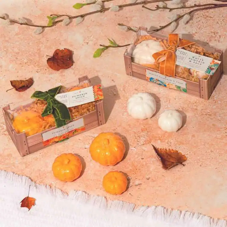 The Somerset Toiletry Co White Pumpkin & Sage Soap Set (Pack of 3)
