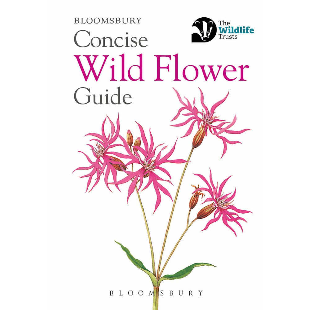 The Wildlife Trust Concise Wild Flower Guide Book by Bloomsbury