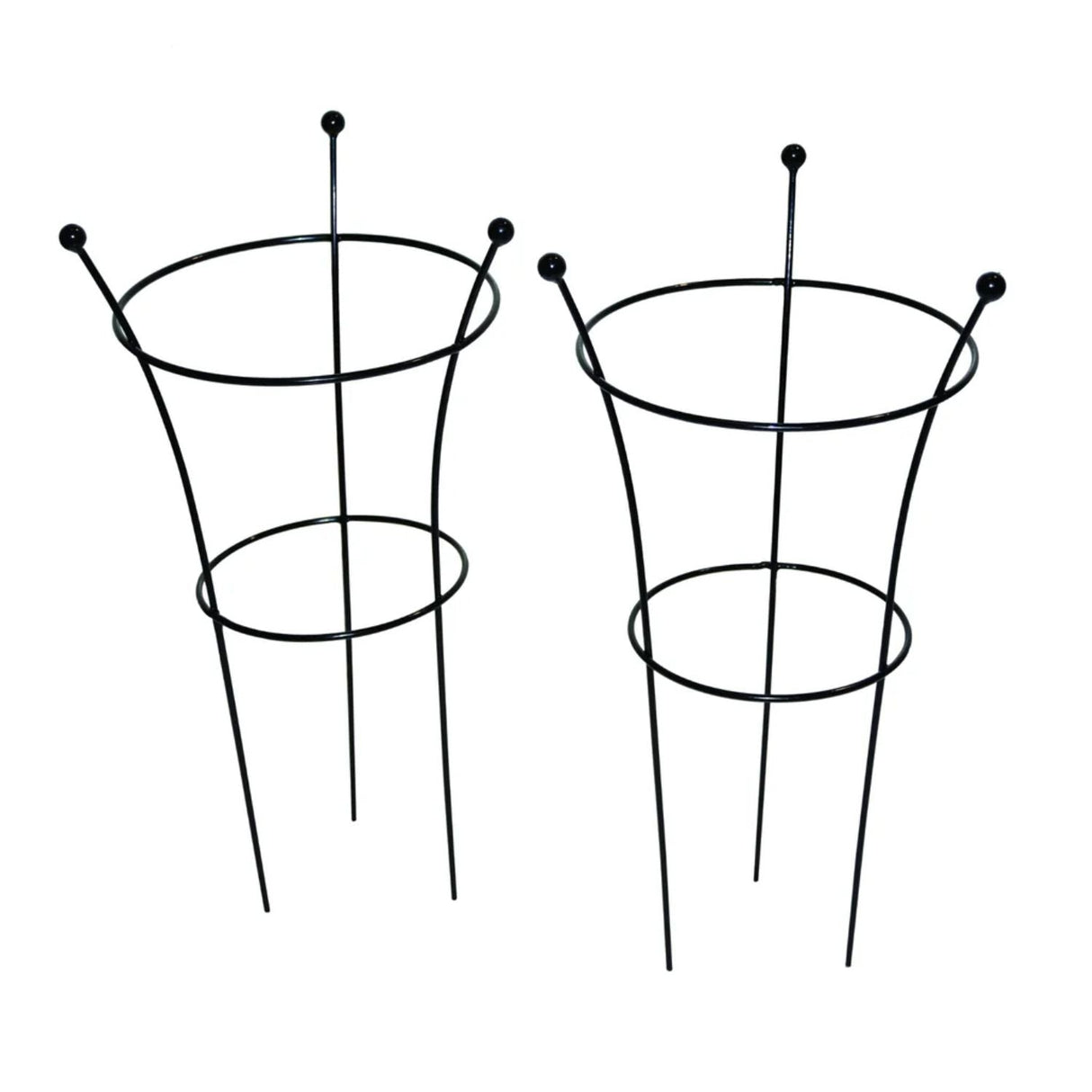 Tom Chambers 54cm Black Small Herbaceous Plant Support (Pack of 2) - Old Railway Line Garden Centre