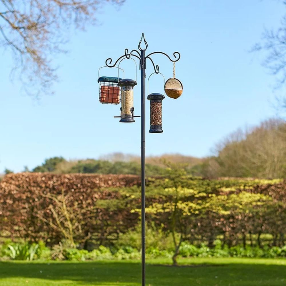 Tom Chambers Banquet Bird Feeding Station