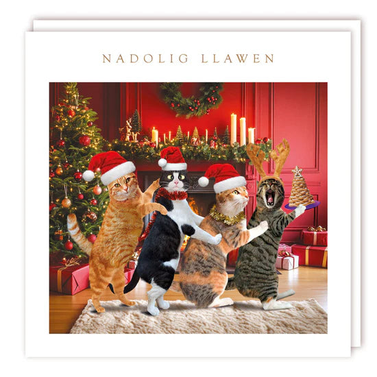 Tracks Publishing Cat Conga Christmas Charity Cards - (Pack of 5)
