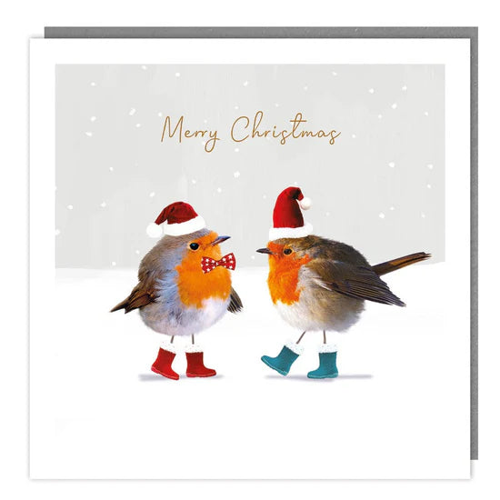 Tracks Publishing Dressed Robins Christmas Charity Cards - (Pack of 5)
