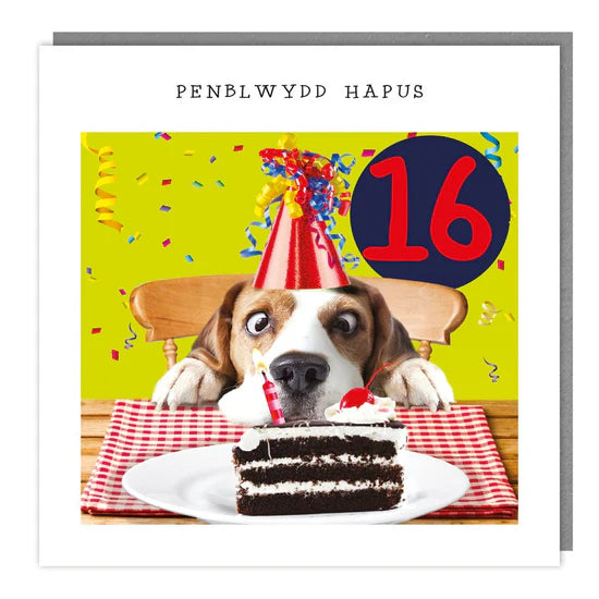Tracks Publishing Penblwydd Hapus 16th Dog & Cake Blank Card