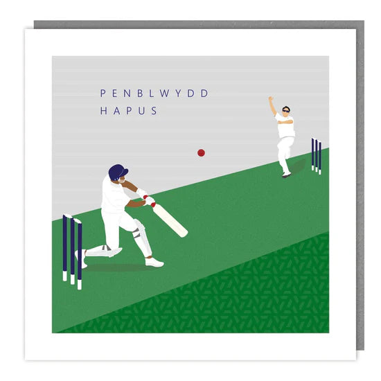 Tracks Publishing Penblwydd Hapus Cricket Blank Card