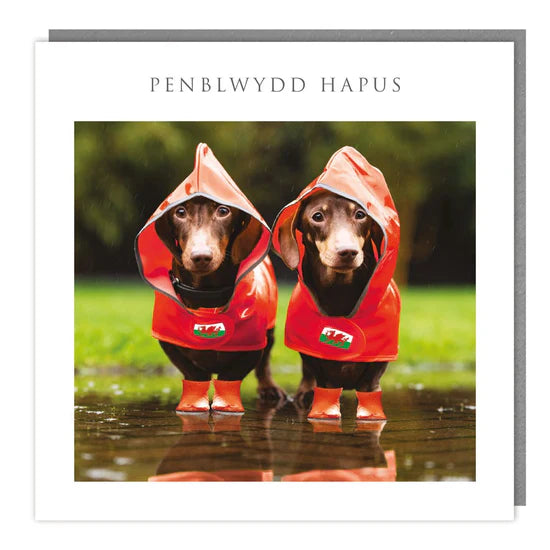 Tracks Publishing Penblwydd Hapus Daschunds in Raincoats Blank Card