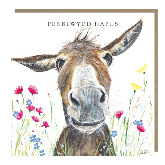 Tracks Publishing Penblwydd Hapus Dorcas the Donkey Blank Card