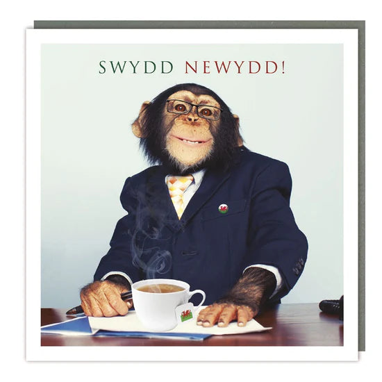 Tracks Publishing Swydd Newydd Chimp in Charge Blank Card