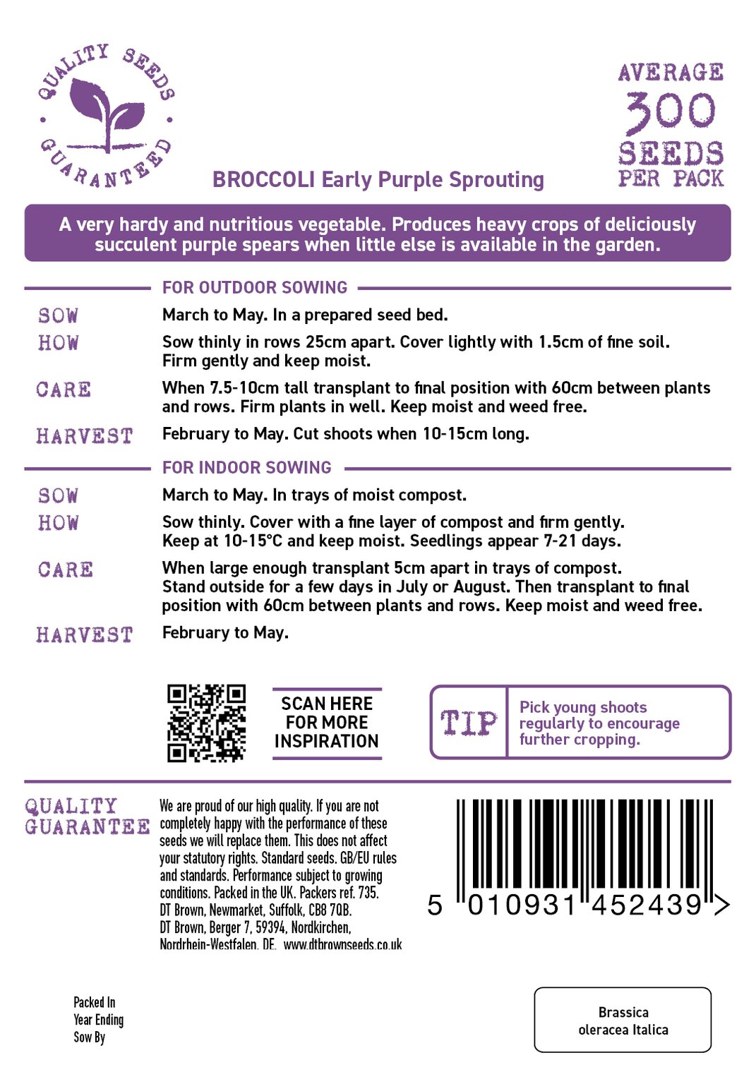 D.T. Brown Early Purple 'Broccoli' Sprouting